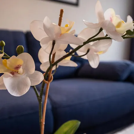 Chesa Corvatsch 111 - Champfer By Interhome Surlej