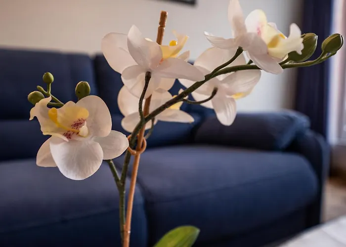 Chesa Corvatsch 111 - Champfer By Interhome Surlej