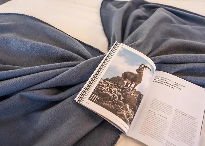 Daire Chesa Corvatsch 111 - Champfer By Interhome